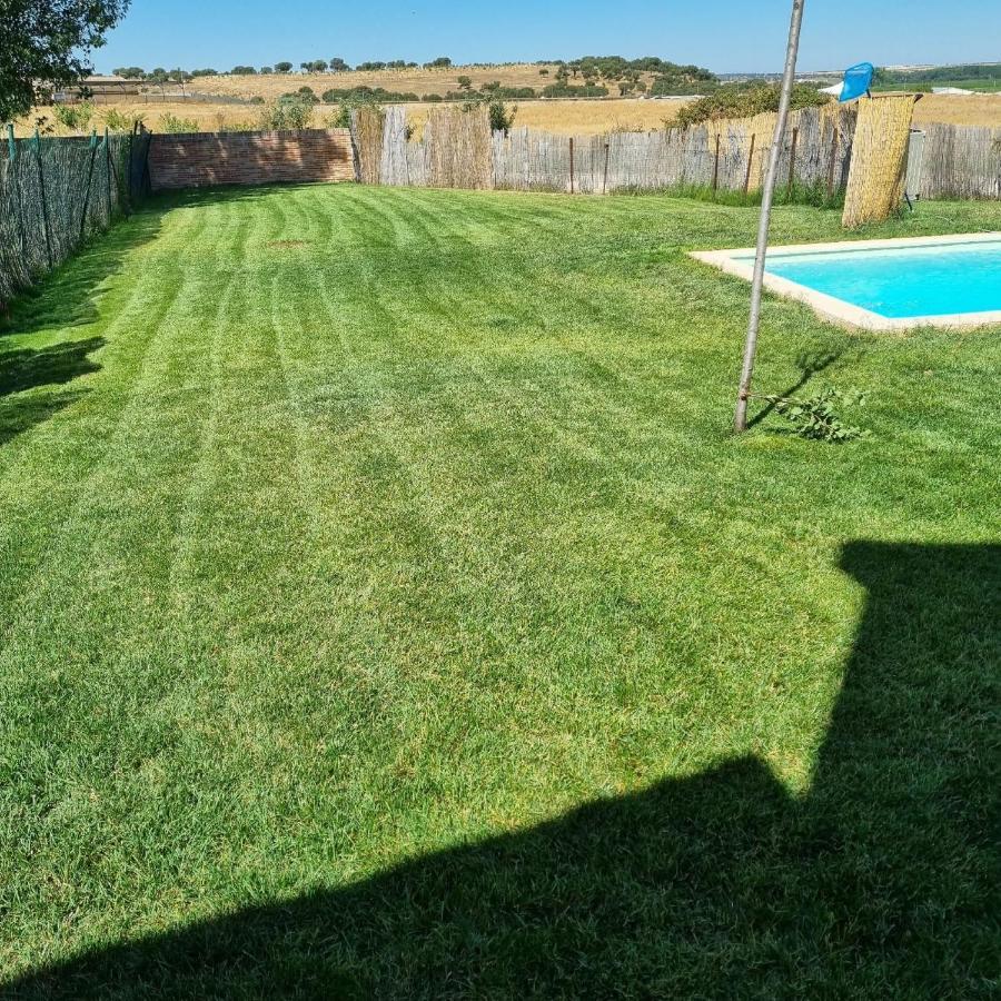 Casas Olmo Y Fresno Jardin Y Piscina A 17 Kilometros De Salamanca Buitenkant foto