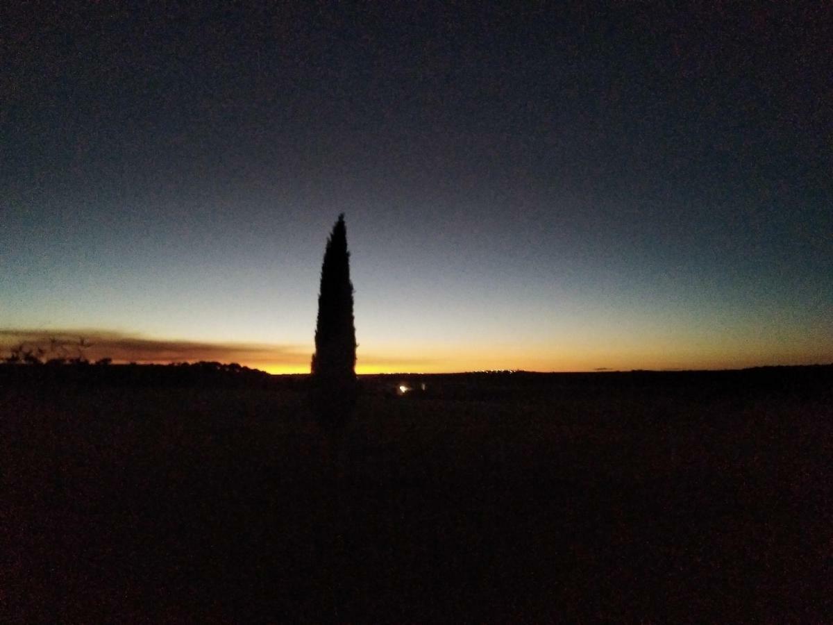 Casas Olmo Y Fresno Jardin Y Piscina A 17 Kilometros De Salamanca Buitenkant foto